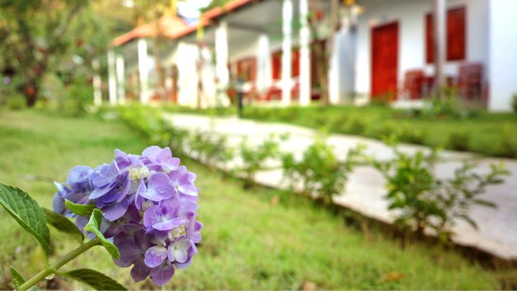 Highland Bungalow Phu Quoc Exterior photo