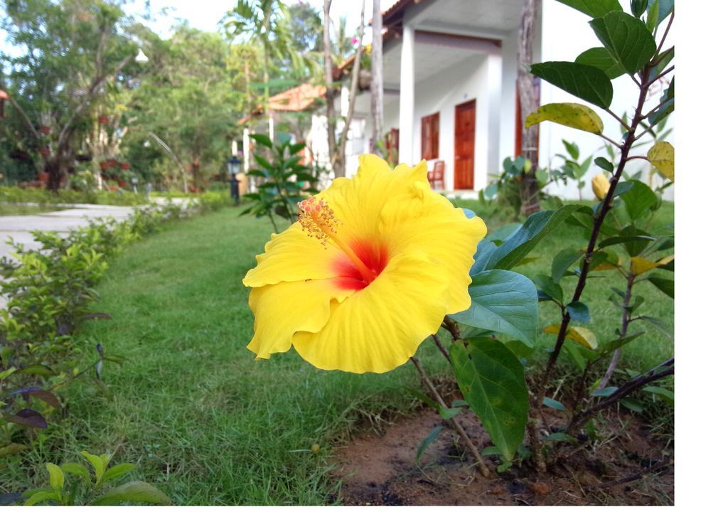 Highland Bungalow Phu Quoc Exterior photo
