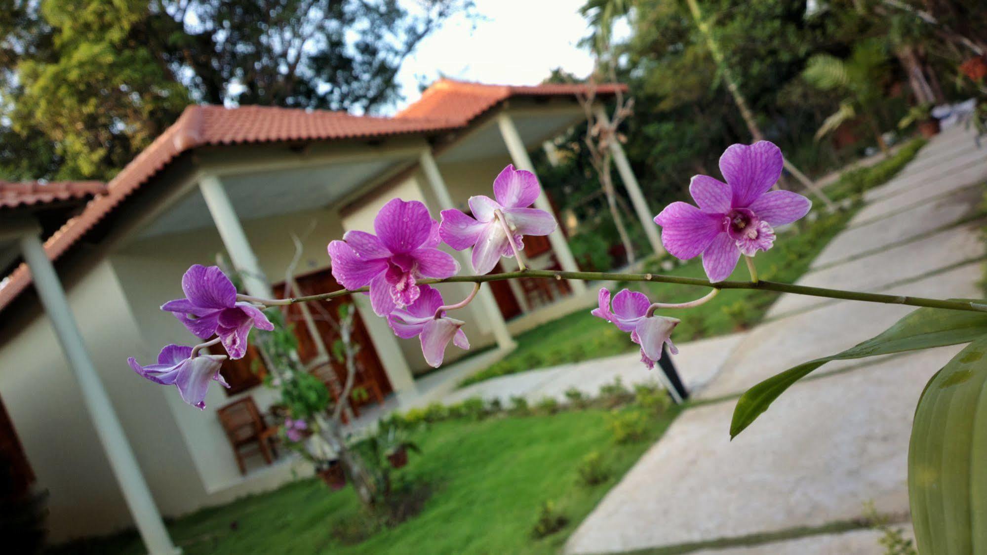 Highland Bungalow Phu Quoc Exterior photo